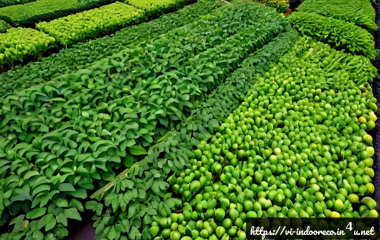 Nhiệt độ ảnh hưởng độ ẩm thế nào? Cách đọc chỉ số để chọn điều hòa hoặc máy hút ẩm phù hợp 4 온도와 습도 관계 관련 이미지 2